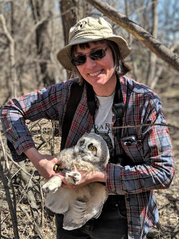 Karla Bloem holding a young great horned owl