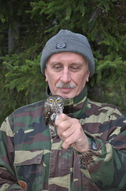 Erkki Korpimaki holding a pygmy owl