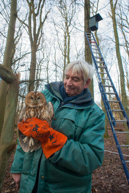 Fred Koning holding a tawny owl