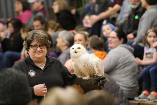 Jane Seitz from the Illinois raptor center holds a snowy owl in front of a crowd.