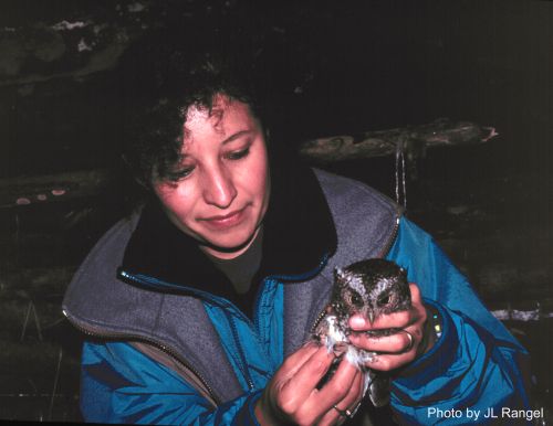 Paula Enriquez holding a screech owl