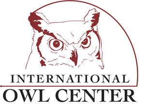 international owl center logo