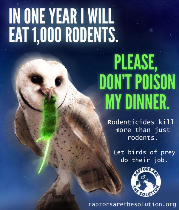 A poster with a barn owl holding a green mouse. Text says
