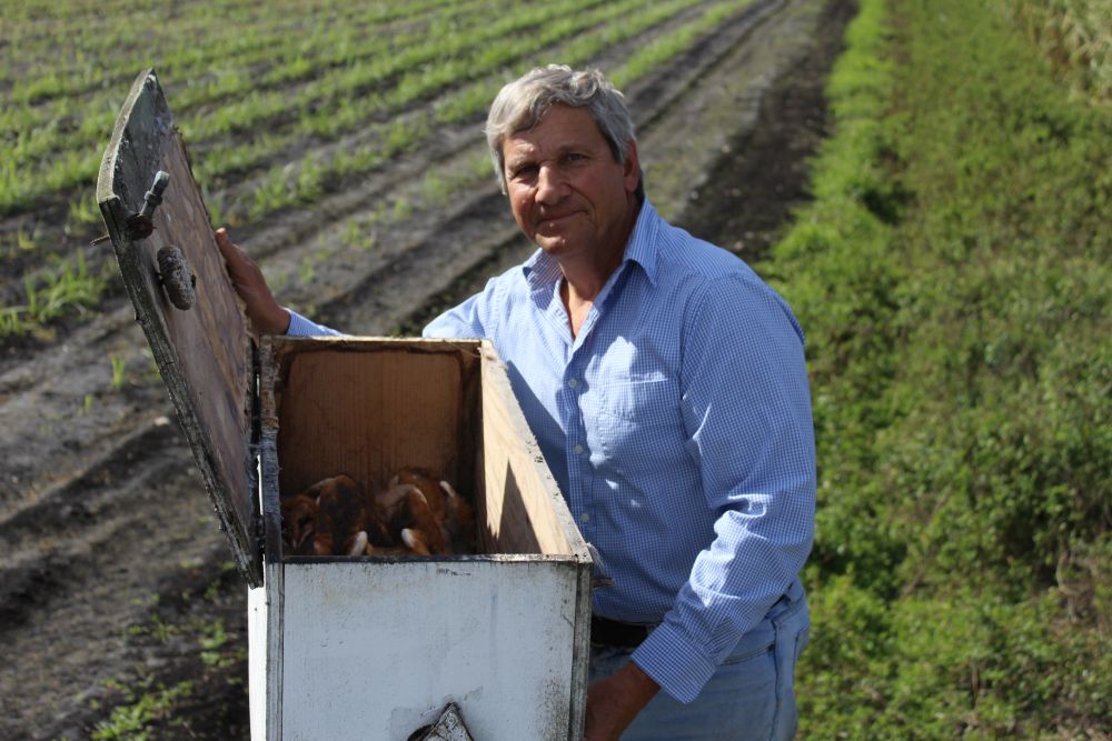Richard Raid in a field holding a nest box full of barn owls