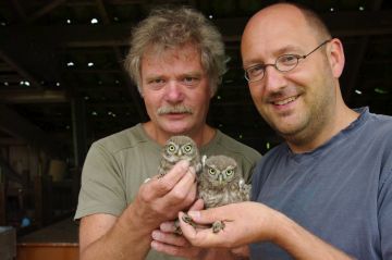 Ronald van Harxen and Pascal Stroeken holding little owls
